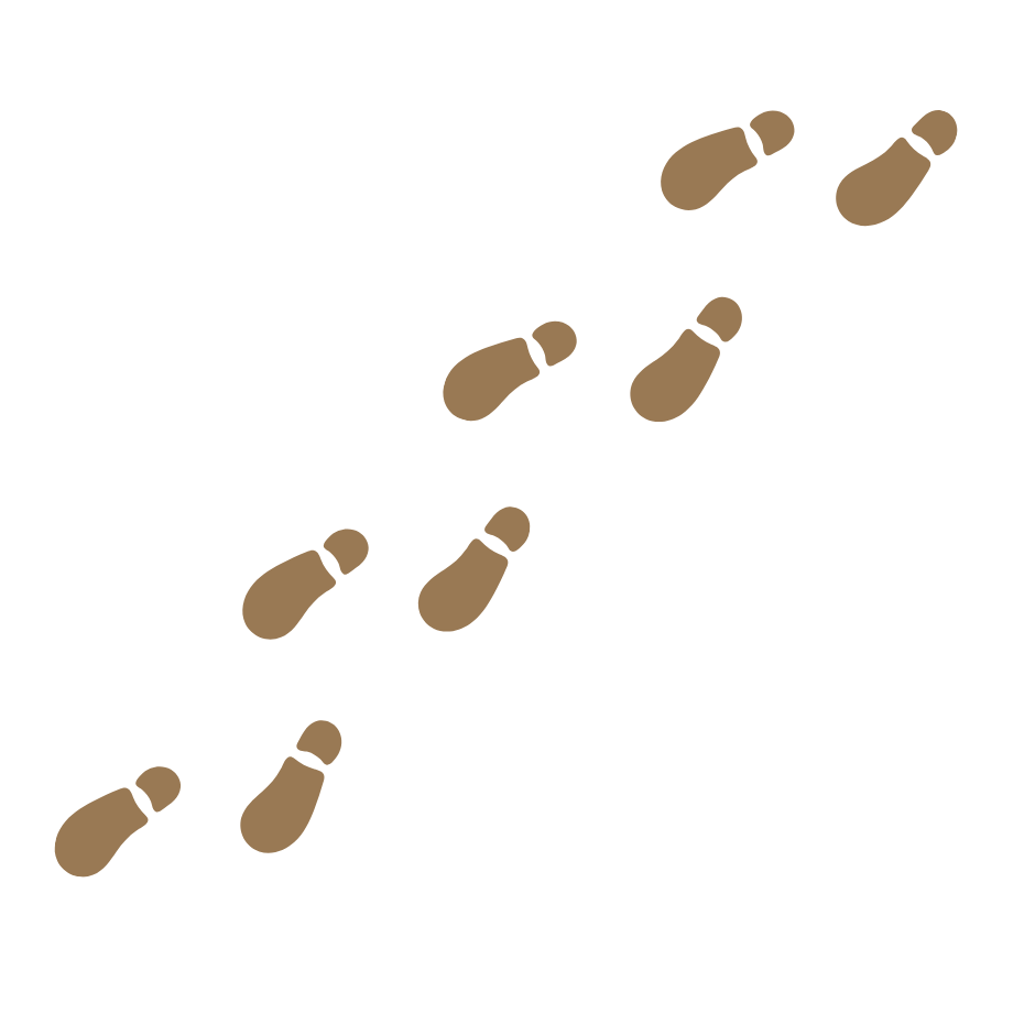 1789455155276513.png